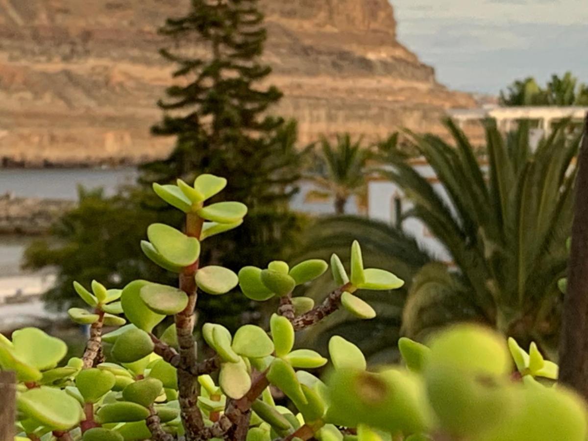 Ílios de Mogán Apartamento Puerto De Mogan Exterior foto